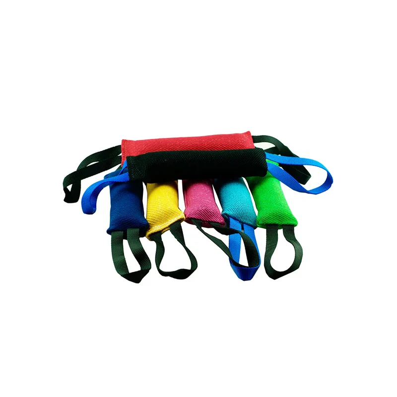 Salamotto da Addestramento per Cani con 2 Maniglie - Gioco 25 cm