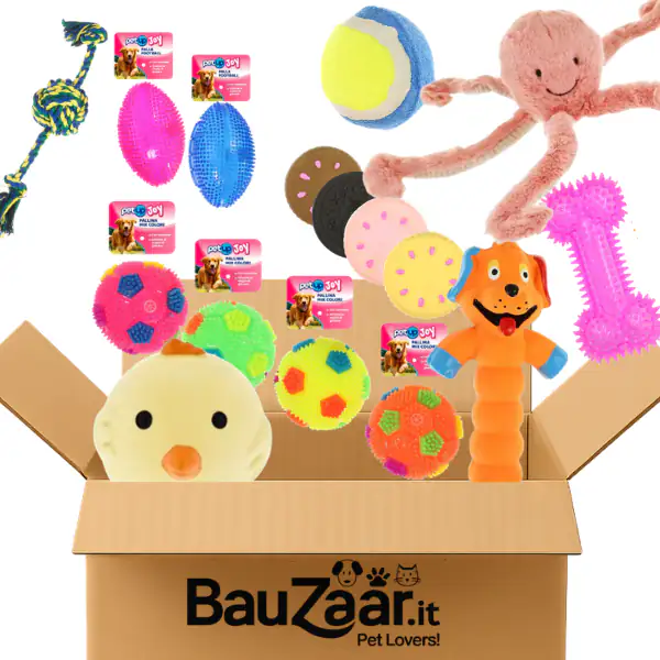 Bundle convenienza: giochi per cani Set Plus