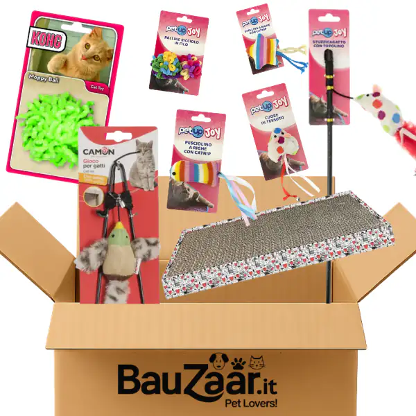 Bundle convenienza: giochi per gatti Set Plus