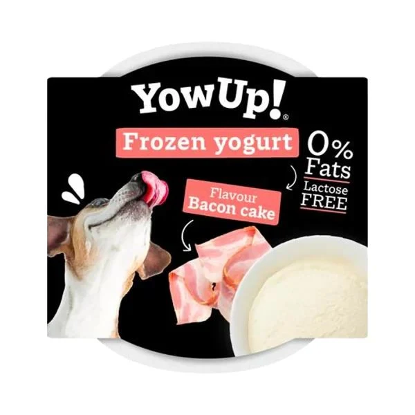 YowUp Frozen Yogurt Bacon Cake 110g