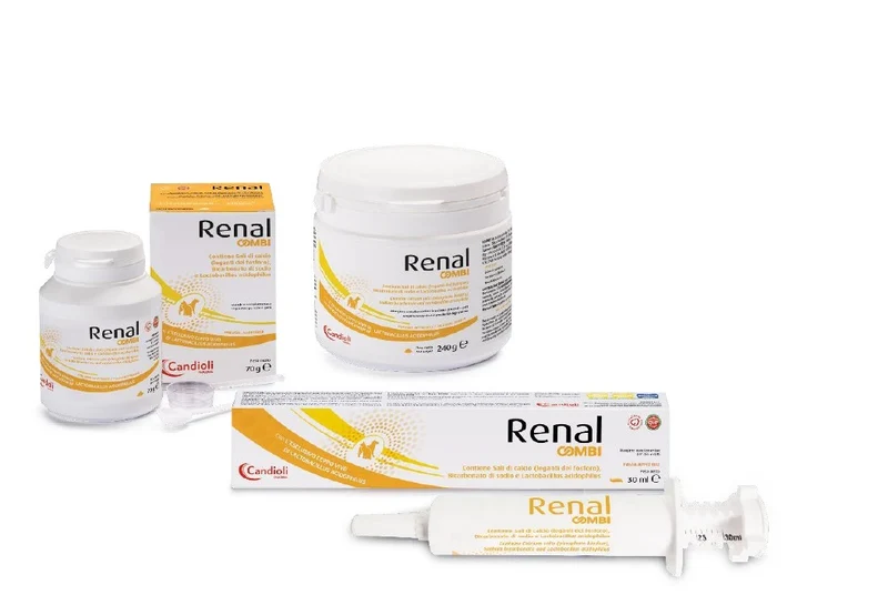 RENAL COMBI BARATTOLO 240 GR