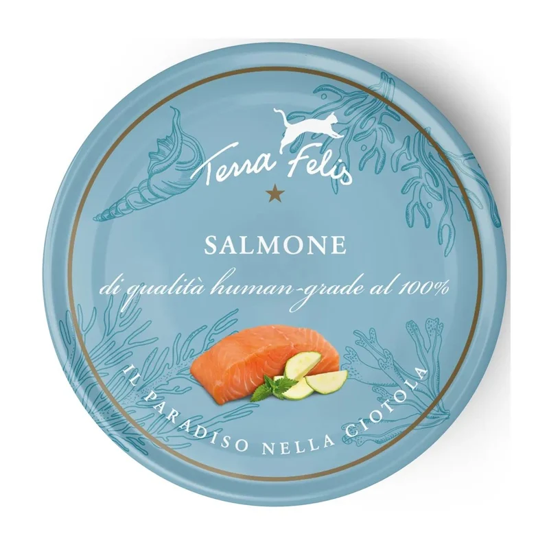 Terra Felis Salmone - Umido Grain Free di Grado Umano per Gatti - 80 g