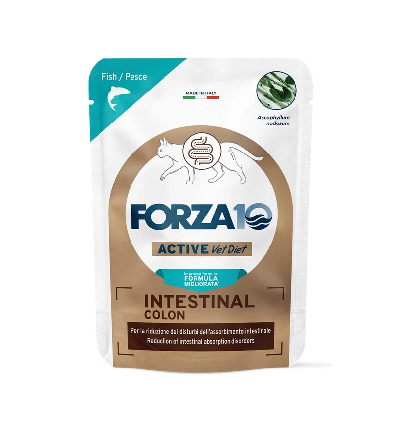 FORZA10 GATTO ACTIVE INTESTINAL COLON ADULT PESCE DA 80 GR IN BUSTA