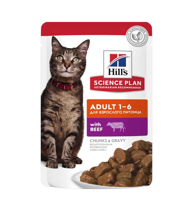 HILL'S SCIENCE PLAN GATTO ADULT AL MANZO DA 85 GR IN BUSTA