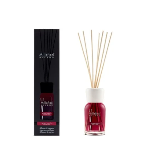 DIFF.STICK 100 ML GRAPE CASSIS -