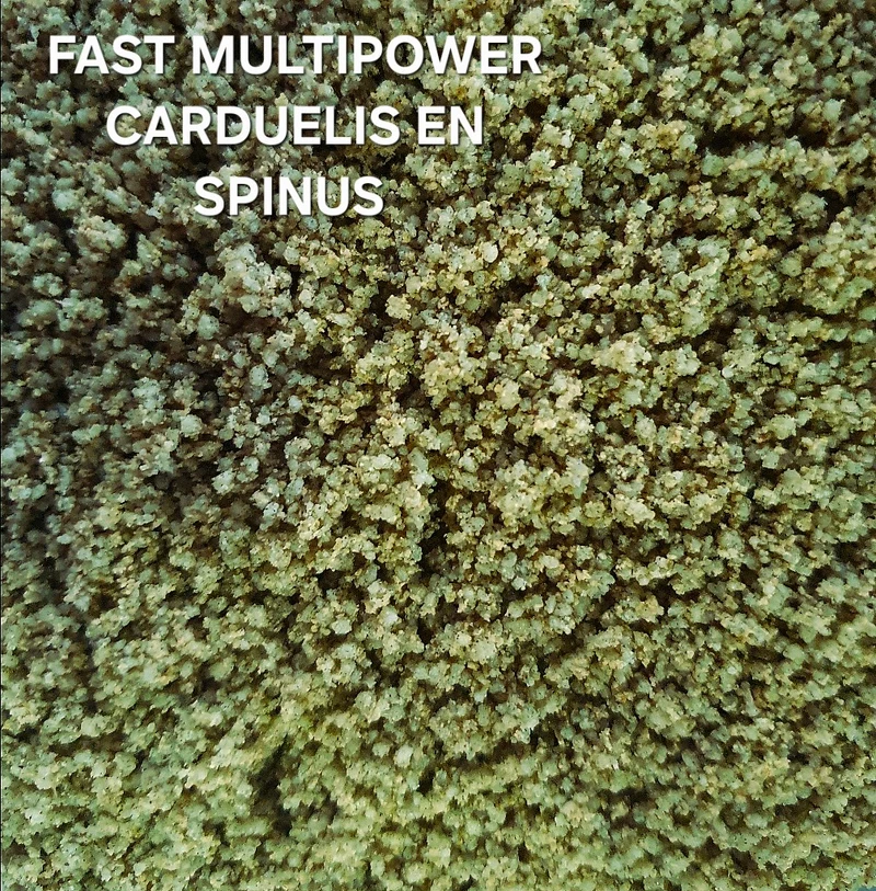 Fast Multipower Carduelis & Spinus 1 kg (confezionato singolarmente) - Green Eggfood