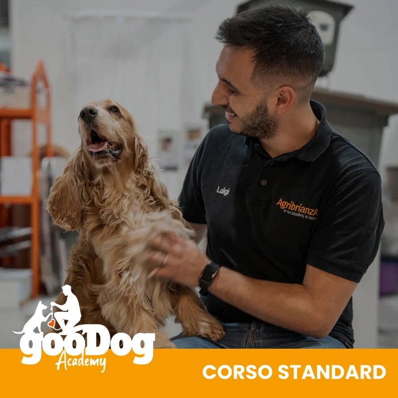 Corso GooDog Academy Standard
