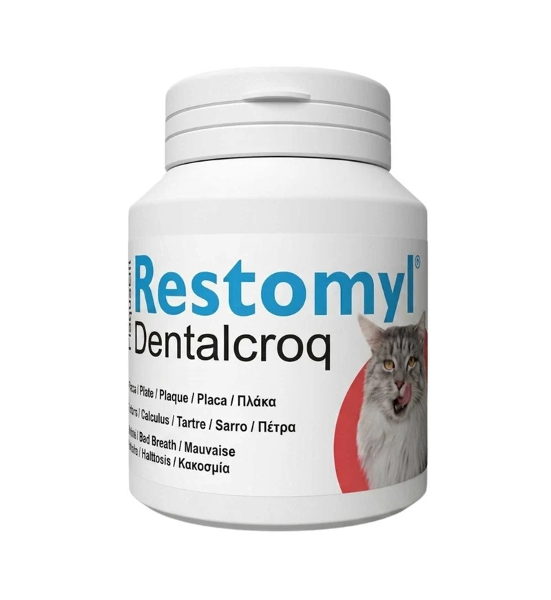 INNOVET GATTO SNACK RESTOMYL DENTALCROC DA 60 G