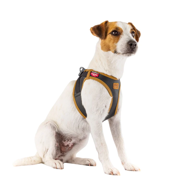 Curli Clasp Vegan Apple Leather Vest Harness For Dogs