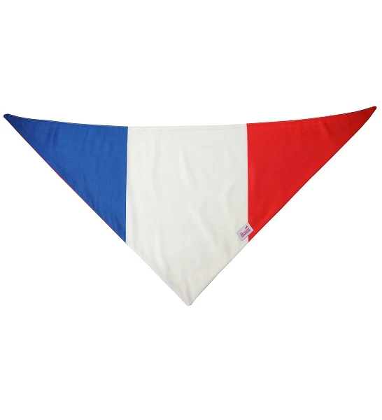 ZiggyDog France Flag Dog & Cat Bandana