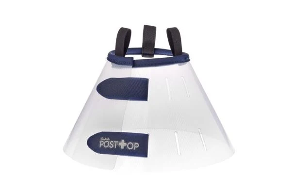 Collare Elisabettiano Classic Collar XXL per Cani - 57-66 cm