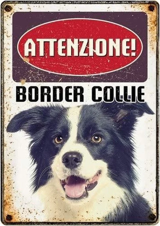 Targhetta Decorativa Razza Border Collie in Metallo - 15x21 cm