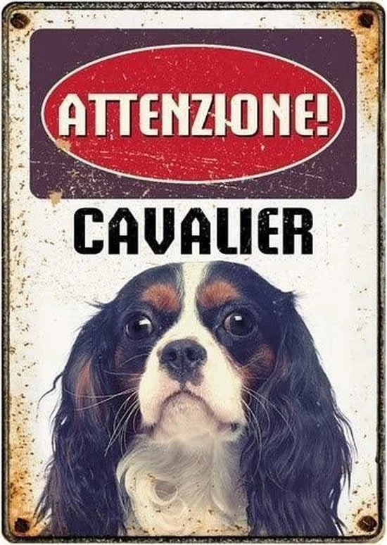 Targhetta Decorativa Razza Cavalier King Charles Spaniel - 15x21 cm