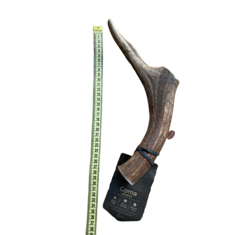 Corno di Cervo Intero per Cani - Masticativo Naturale XXL - 300-400 g