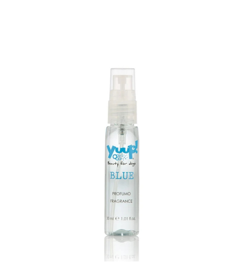 Ricarica Shampoo Yuup Blue per Toelettatura - 30 ml
