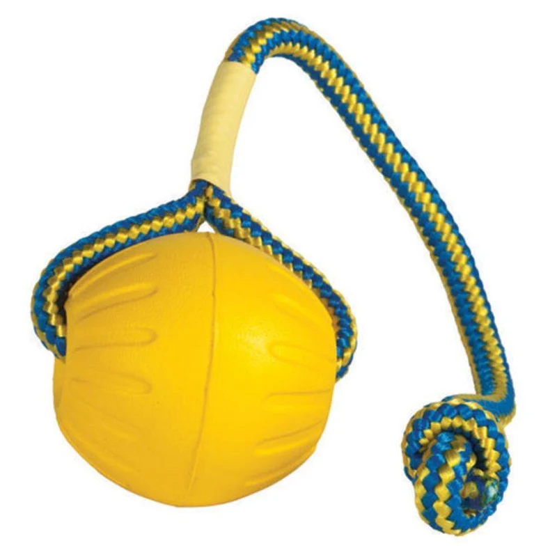 Gioco per Cani Starmark Swing n Fling Durafoam Ball - Misura L