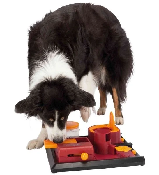 Trixie Dog Strategy Fun Box 2 Toy for Dogs 10x32x32cm