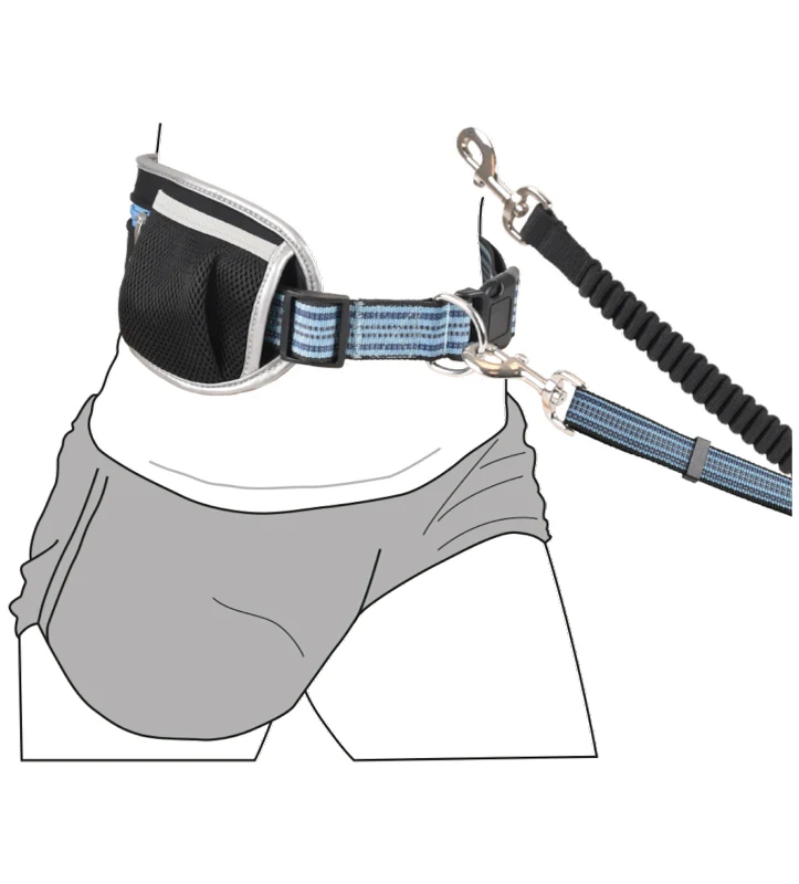 Flamingo - Guinzaglio per jogging - con Cintura