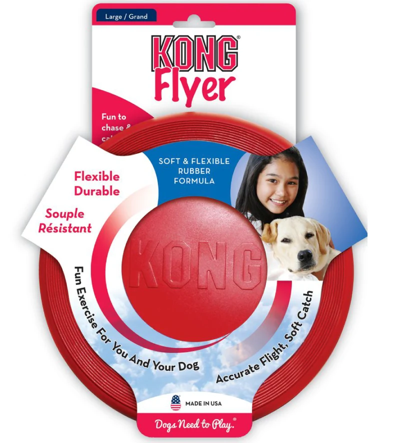 Kong - Flayer - L