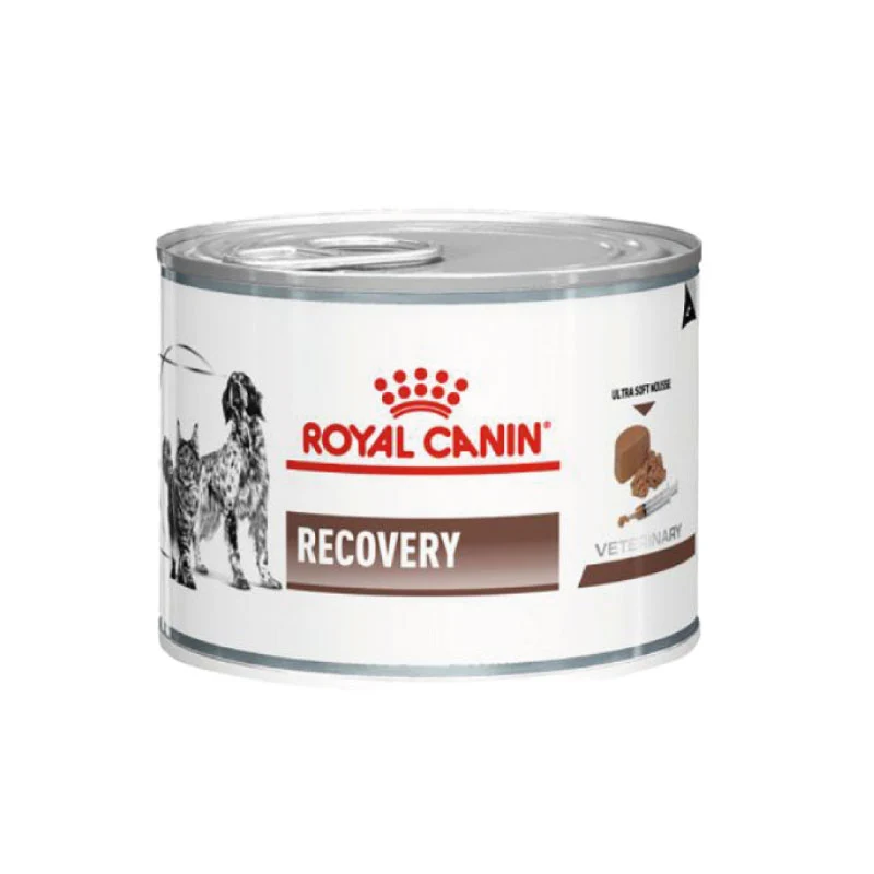 Royal Canin - Veterinary Diet Canine/Feline - Recovery - 195gr