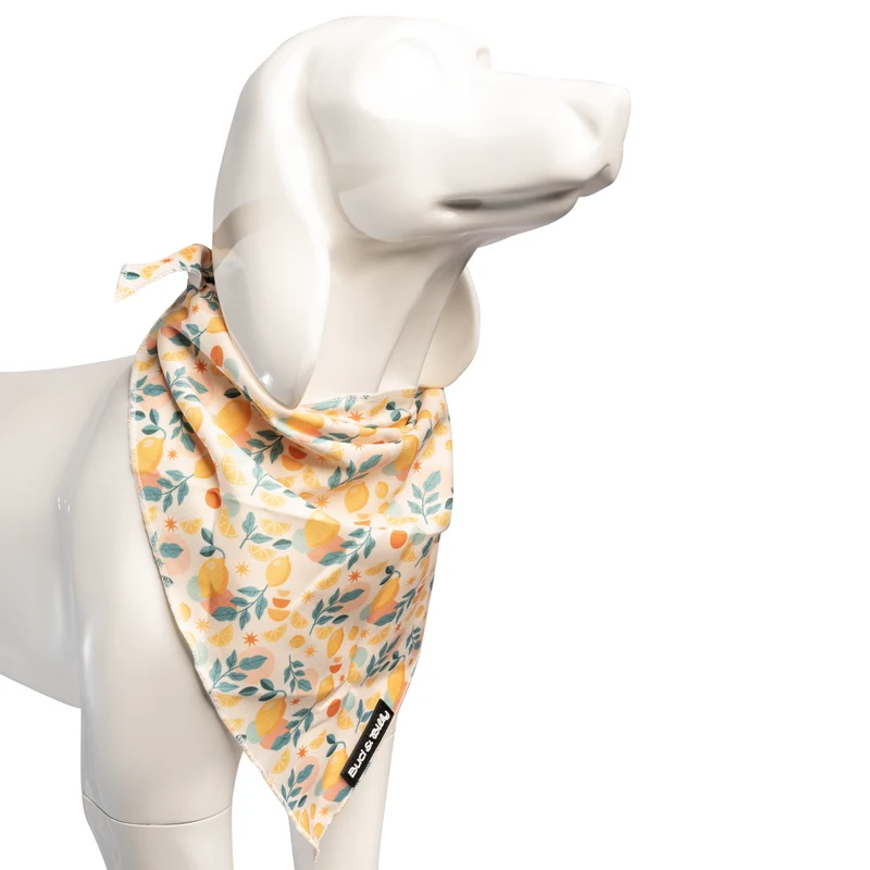 Bud & Billy Citrus Bloom Dog Bandana