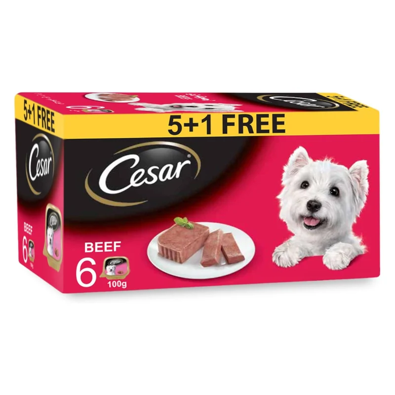 Cesar Beef 5+1 FREE Promo Pack Wet Dog Food 6X100G