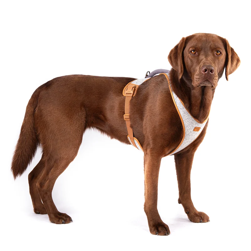 Curli The Alpine Belka Harness For Large Dogs