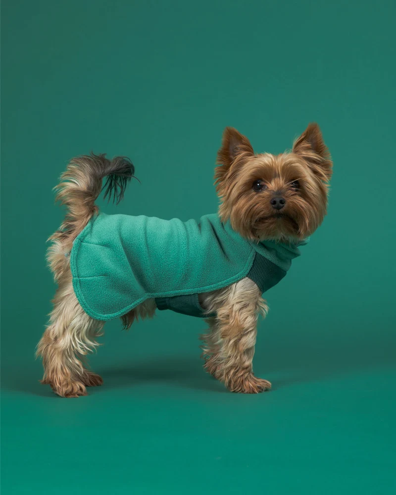 PAIKKA Seawool Eco-friendly Dog Shirt