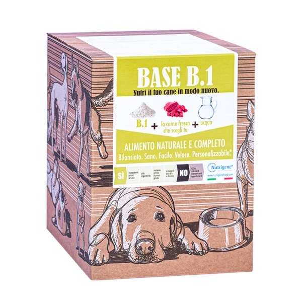 NUTRIGENE BASE B UNO CARTONE 3 KG