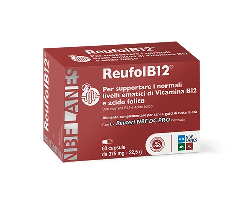 REUFOL B12 cane e gatto 60 CPS