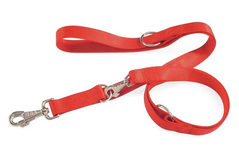 CAMON CANE GUINZAGLIO ADDESTRAMENTO IN NYLON 18 MM x 2 MT ROSSO