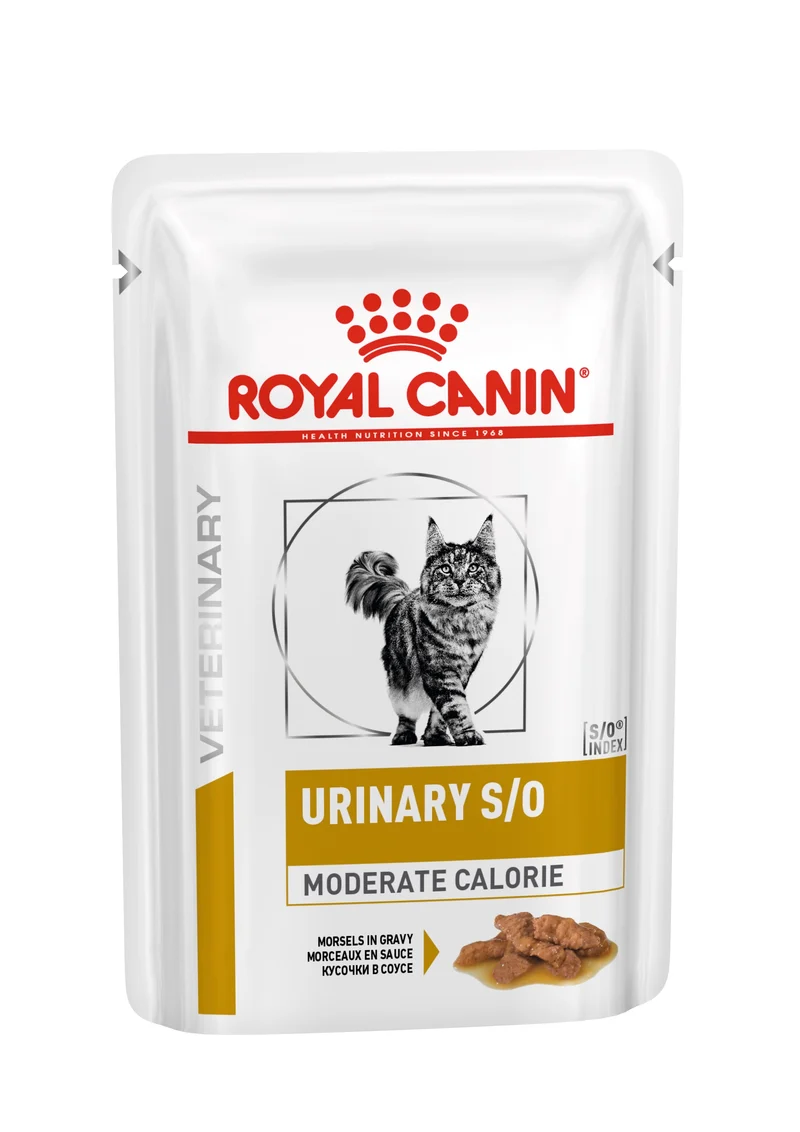 ROYAL CANIN GATTO URINARY S/O MODERATE CALORIES CF. (12x85) GR