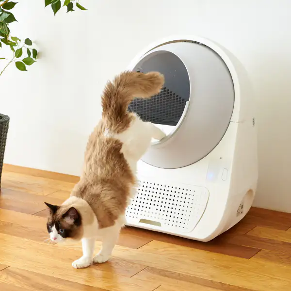 Lettiera autopulente per gatti Scooper no-wifii Young CatLink