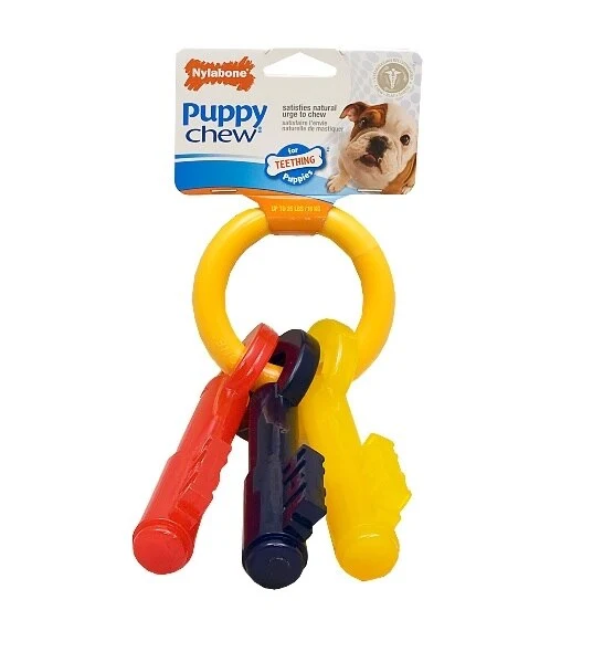 Nylabone Teething Keys Chewy Toy for Puppies
