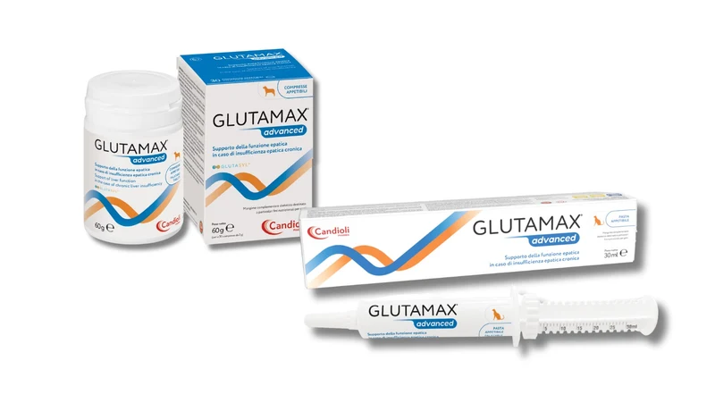 GLUTAMAX ADVANCED PASTA 30 ML