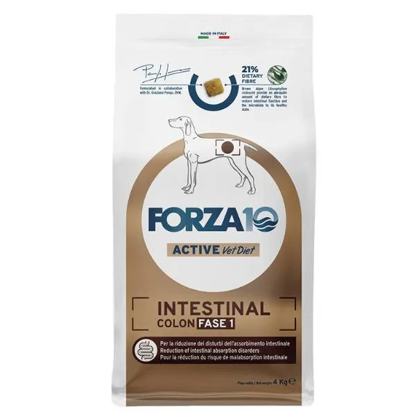 Forza 10 Active Intestinal Colon Fase 1 - Crocchette, 4 kg