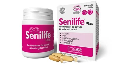 SENILIFE PLUS 60 CAPSULE