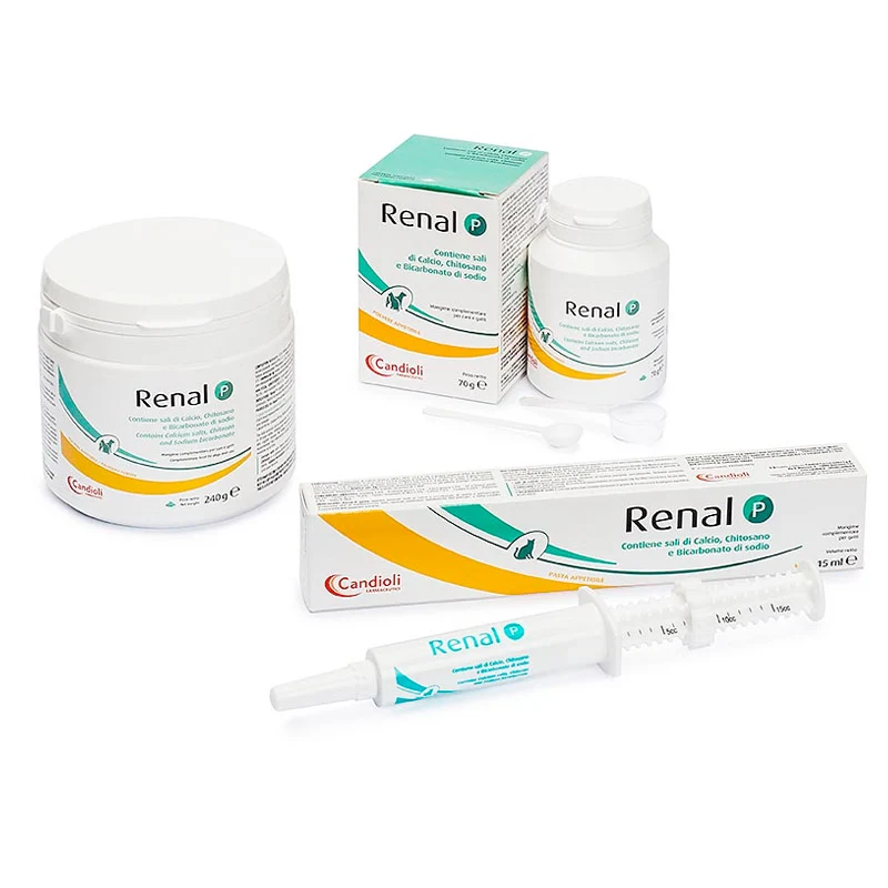 RENAL P 240 GR