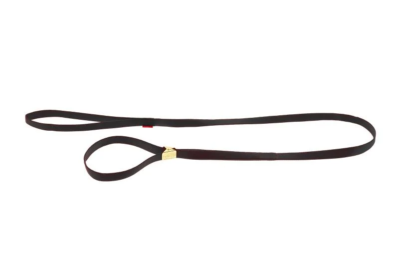 Guinzaglio da Esposizione in Nylon per Cani - Nero, 10 mm x 120 cm