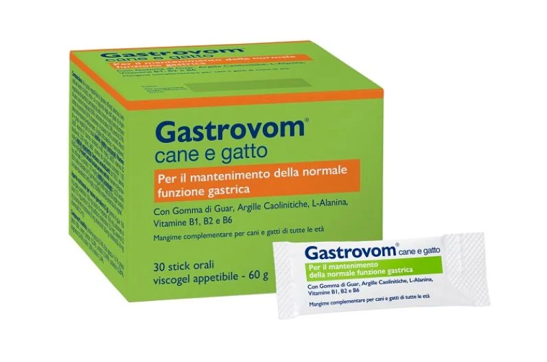 GASTROVOM CF. (30 STICK)