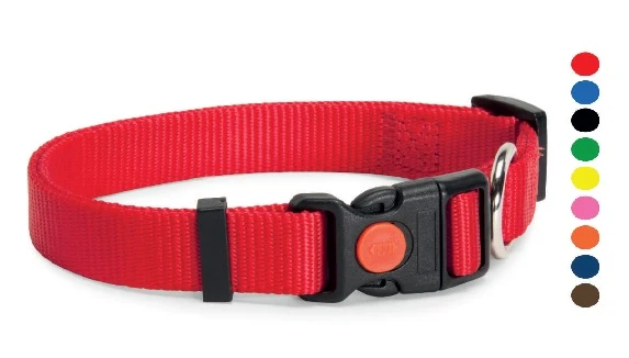 CAMON CANE COLLARE REGOLABILE SGANCIO RAPIDO 12 MM ARANCIONE