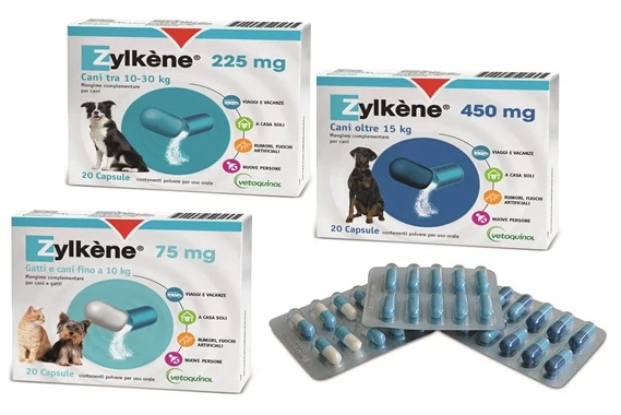 ZYLKENE 450mg 20 CPR