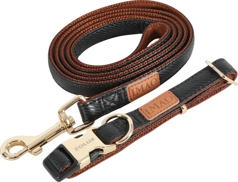 Zolux Guinzaglio Mayfair - Guinzaglio in Nylon - Nero - 25 mm