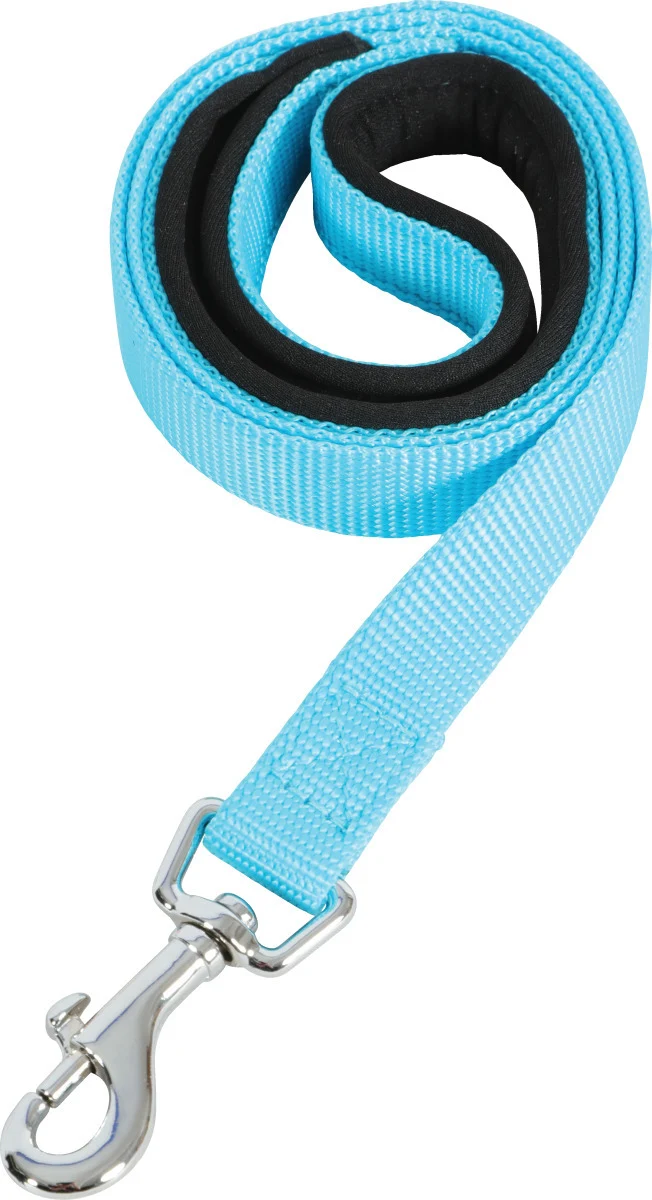 Zolux Guinzaglio Nylon Comfort - Presa Sicura - Turchese - 1 mt x 20 mm