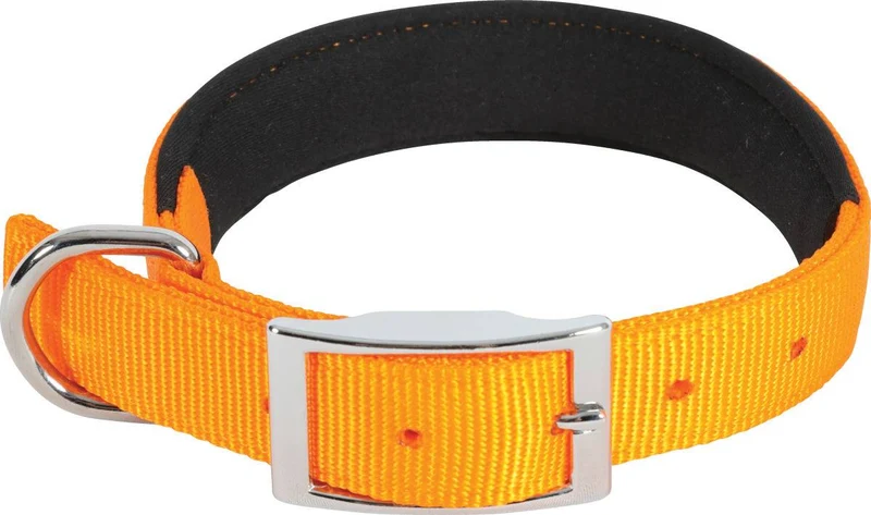 Zolux Collare Nylon Comfort - Colore Brillante - Arancione - 55 cm / 25 mm