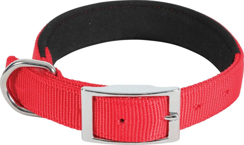 Zolux Collare Nylon Comfort - Nylon Confortevole - Rosso - 40 cm / 20 mm