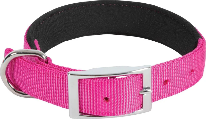 Zolux Collare Nylon Comfort - Design Allegro - Fucsia - 40 cm / 20 mm