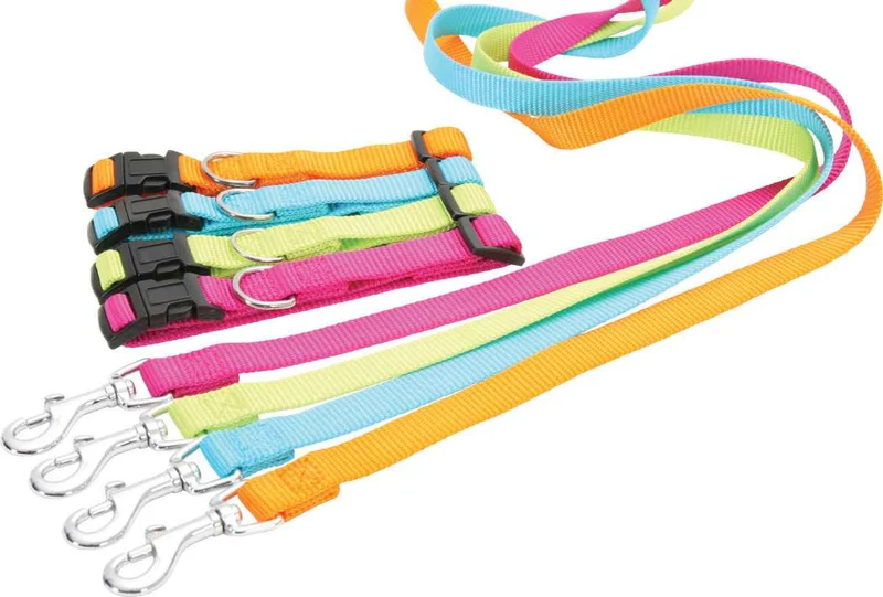 Zolux Guinzaglio Nylon - Nylon Sottile Fluorescente - Turchese - 1 mt x 15 mm