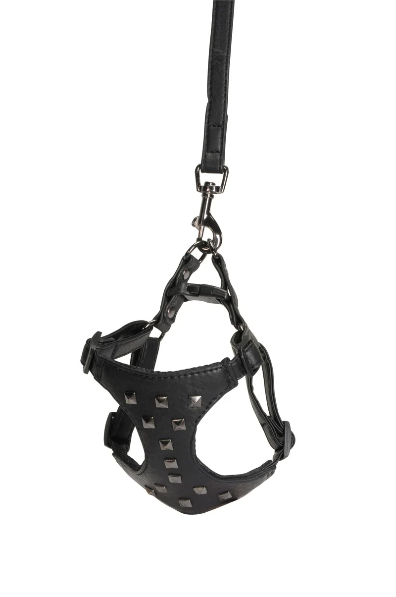 CAMON CANE PARURE PETTORINA + GUINZAGLIO SIMILPELLE CON BORCHIE 15 MM x 120 CM TG. LARGE NERO