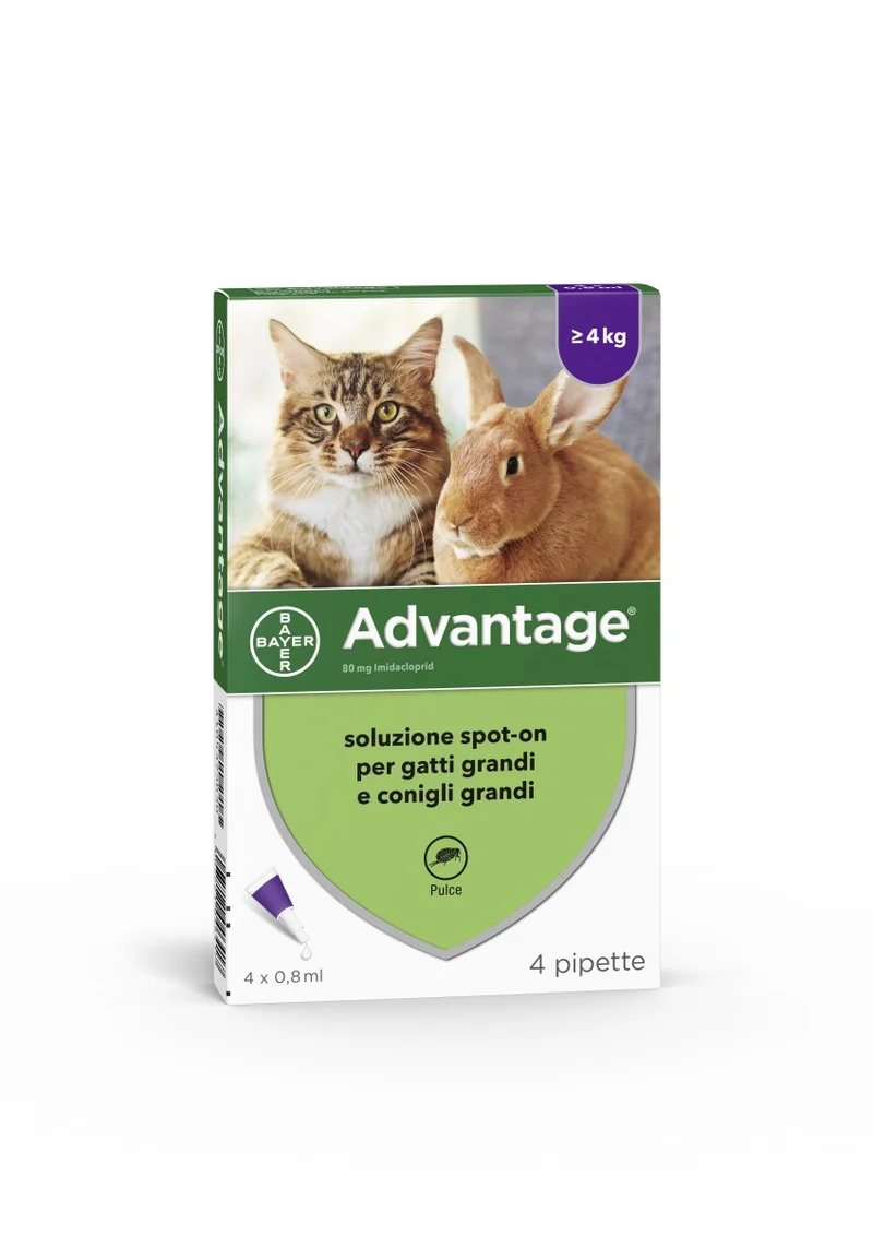 Advantage Spot On 80 - Antiparassitario per Gatti e Conigli - Peso > 4 kg